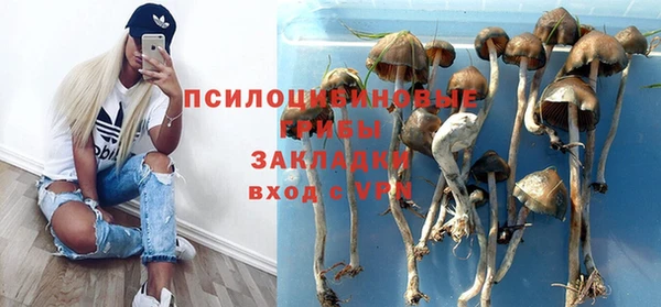 таблы Белокуриха