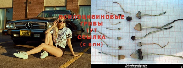 таблы Белокуриха
