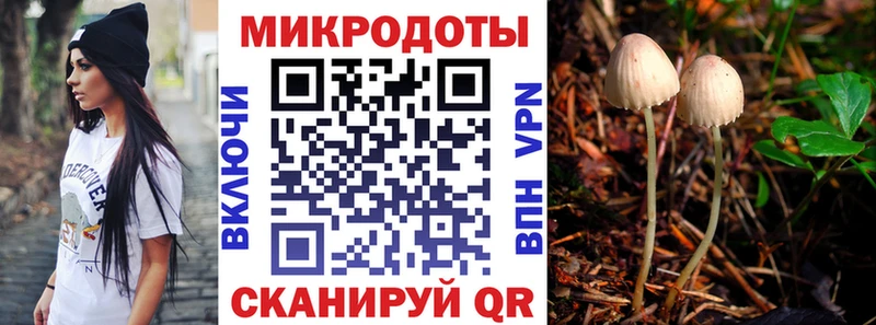 как найти закладки  Кремёнки  Псилоцибиновые грибы мицелий 